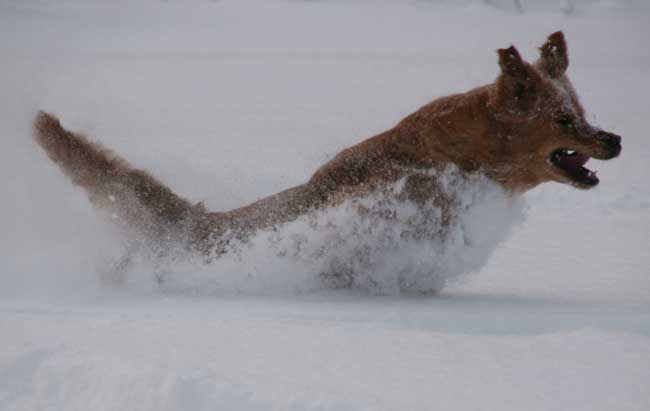 killen full fart i snön