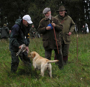 lasse dömer i england