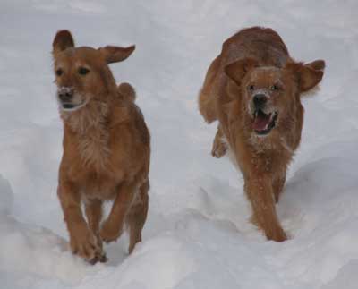 Nessie och Killen