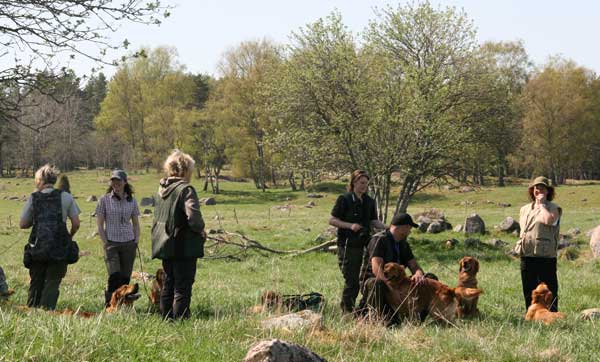 provdag 2010